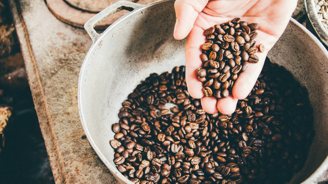 Hände halten eine Schale mit Kaffeebohnen