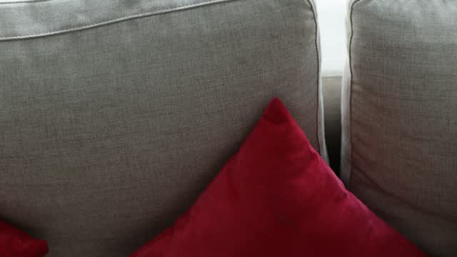 Graues Stoffsofa mit Kissen im Wohnzimmer